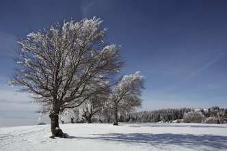 Schauinsland