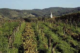 Kaiserstuhl